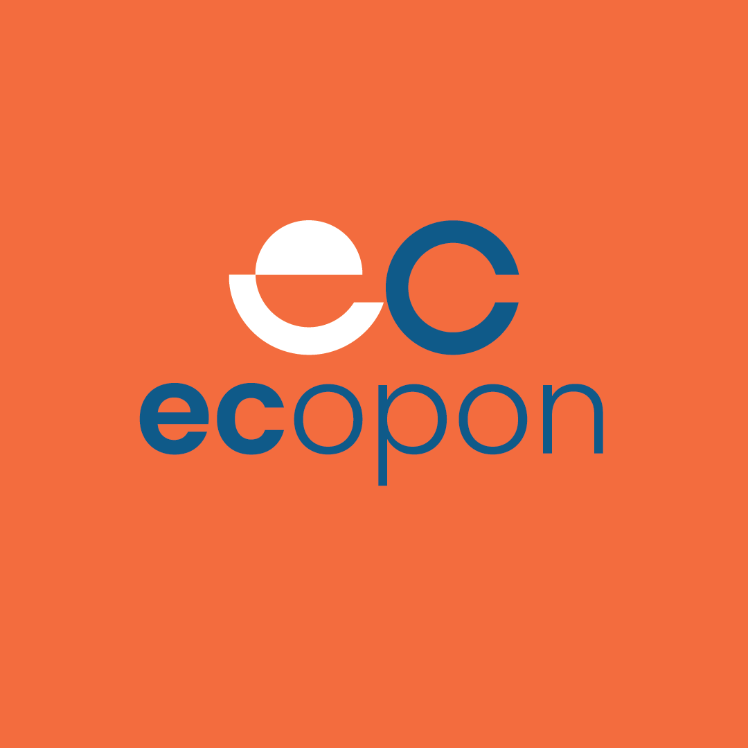 Company News & Updates